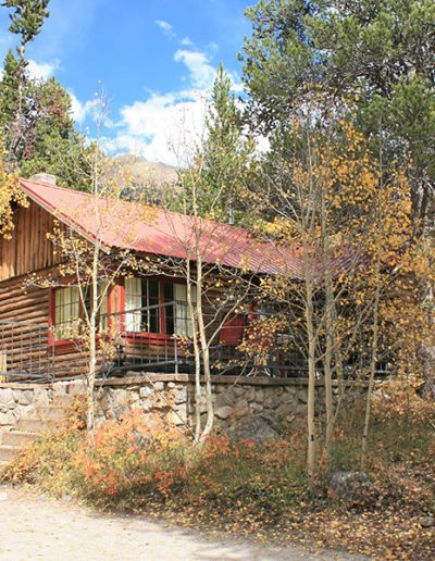 Tall Pines Cabin outside